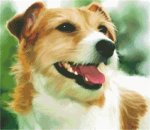 (image for) Cody